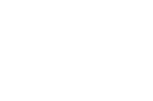 FOZ Logo
